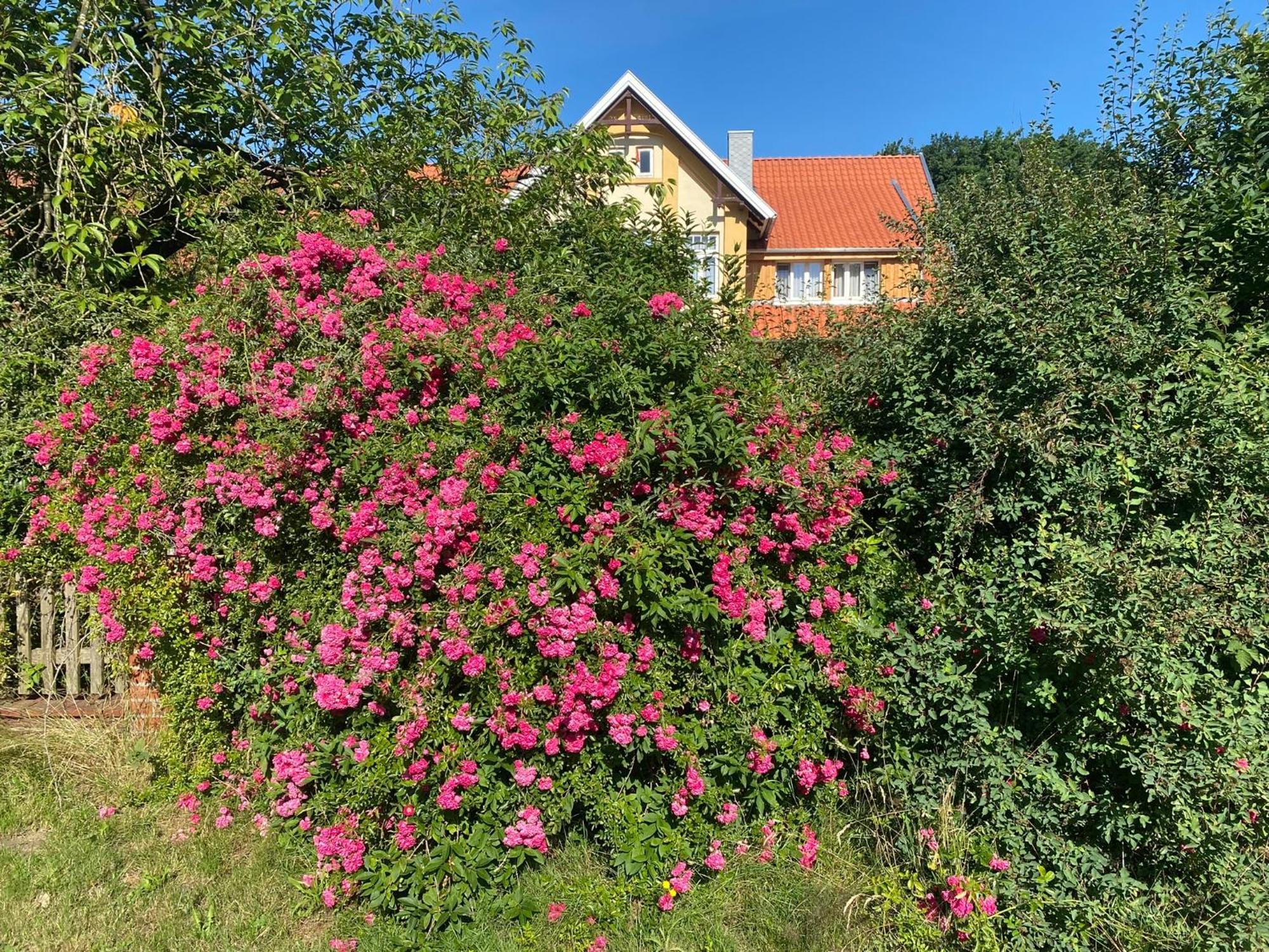 Hotel Fuchsbau Walsrode Zewnętrze zdjęcie